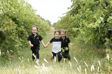 kids running through vineyard